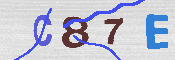 CAPTCHA-Bild