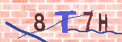 CAPTCHA-Bild